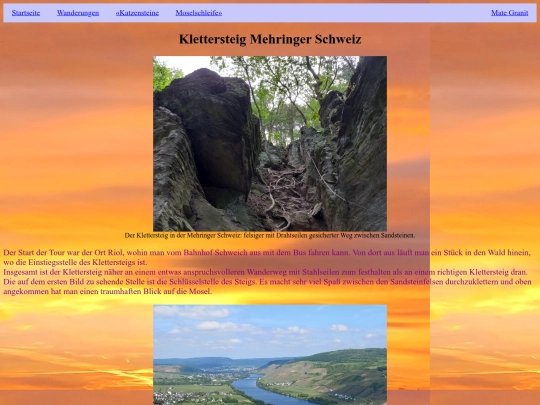 Mehringer_Schweiz screenshot