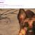 falloutfactron.neocities.org avatar