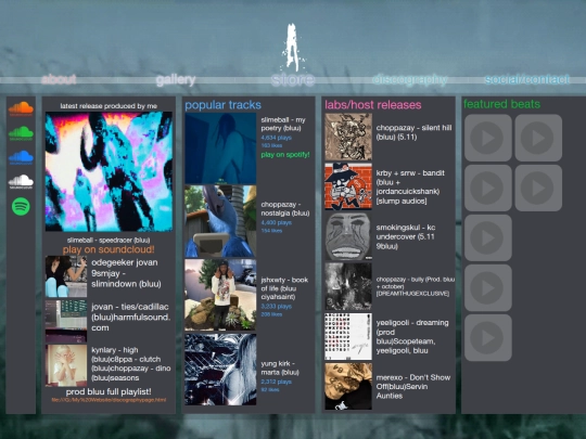 discographypage screenshot