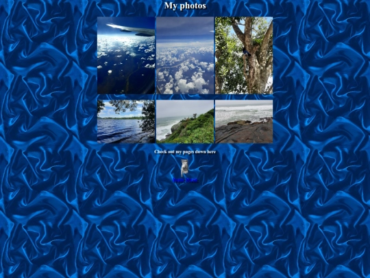 music screenshot