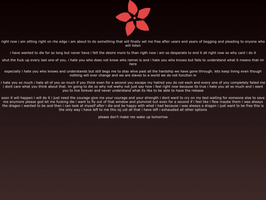 explanations/raimei/window screenshot