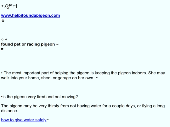 foundpigeon screenshot
