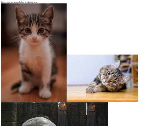 if in doubt, use hole/gallery screenshot