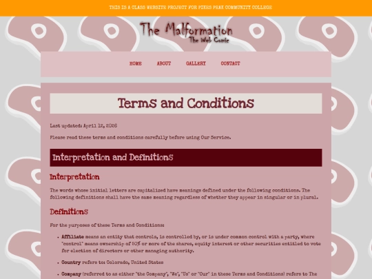 terms-&-conditions screenshot