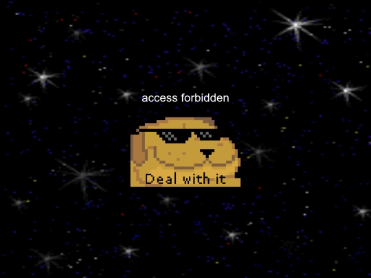 403 screenshot