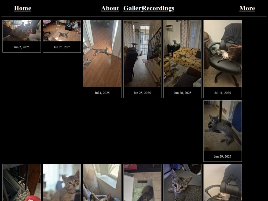 gallery screenshot