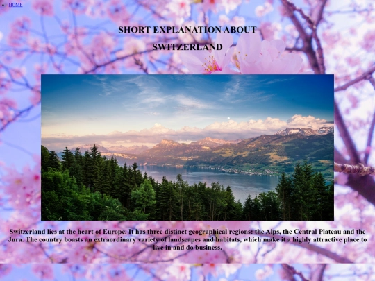 switzerland screenshot