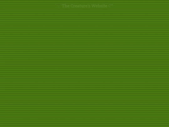 Stare2 screenshot