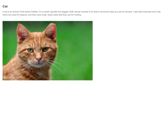 MonkeySearch/search=cat screenshot