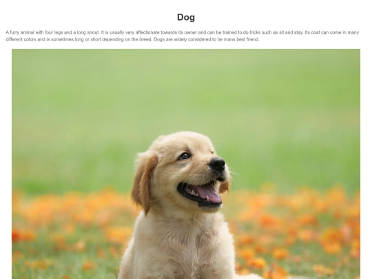 MonkeySearch/search=dog screenshot