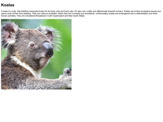 MonkeySearch/search=koala screenshot