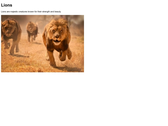 MonkeySearch/search=lion screenshot