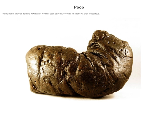 MonkeySearch/search=poop screenshot