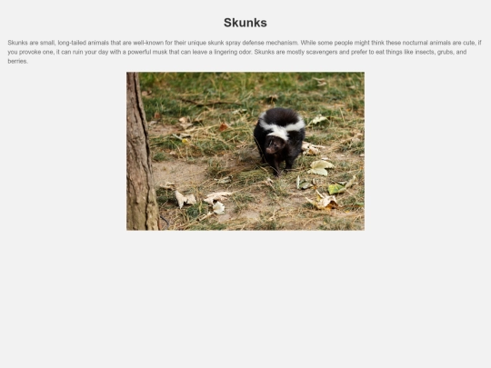 MonkeySearch/search=skunk screenshot