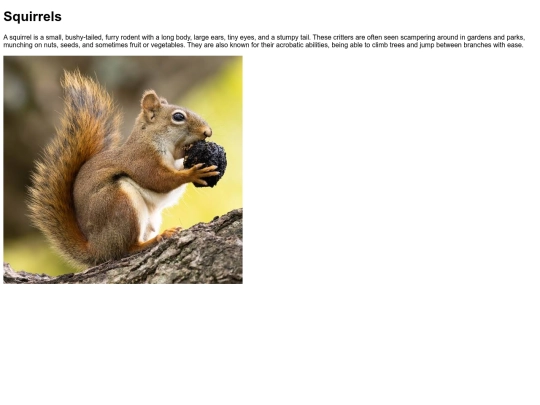 MonkeySearch/search=squirrel screenshot