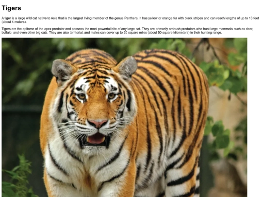 MonkeySearch/search=tiger screenshot