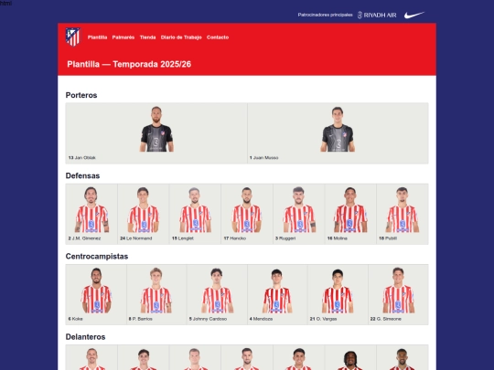 Plantilla screenshot