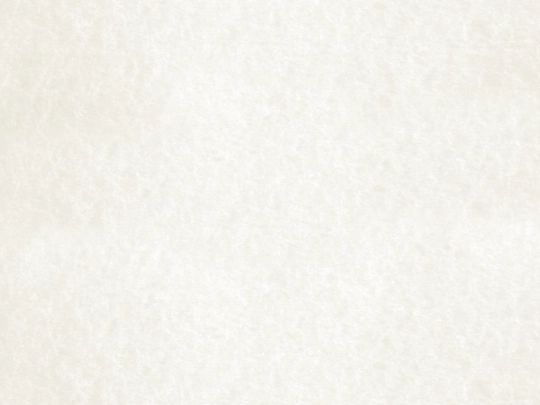 portfolio/fanart screenshot