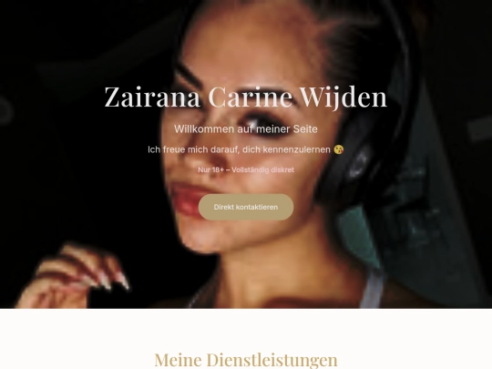 wijer screenshot