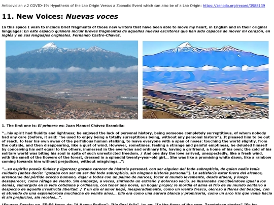nuevas-voces screenshot