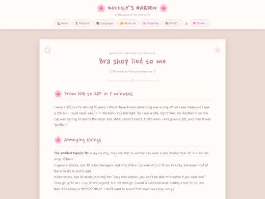 bra 101 screenshot