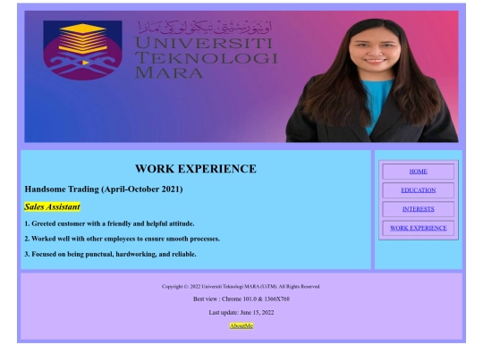 workexperience screenshot