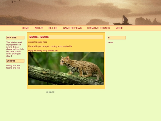more screenshot