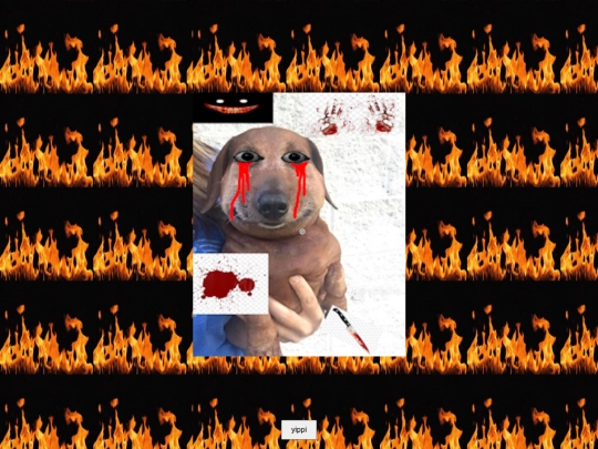 figgle screenshot