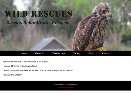 assignment14/faqs screenshot