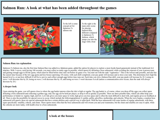 Salmon screenshot