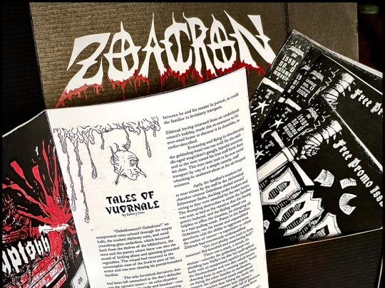 flgs screenshot