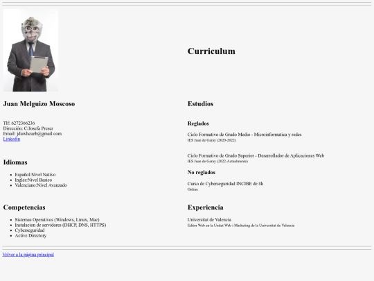 p1/Curriculum2_Juan-Melguizo screenshot