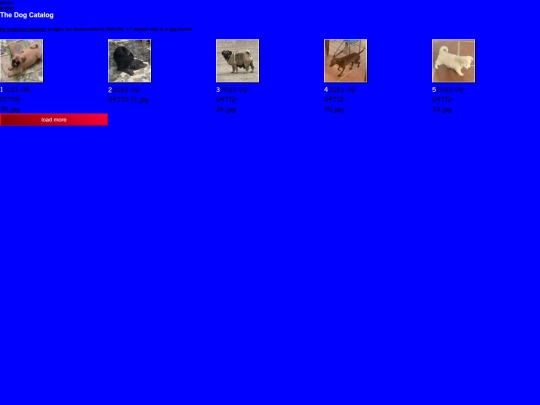dog-catalog screenshot