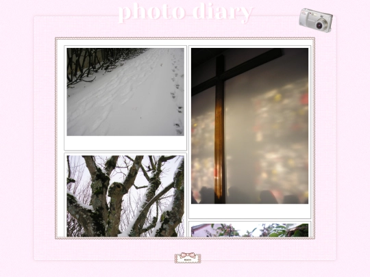 photodiary screenshot