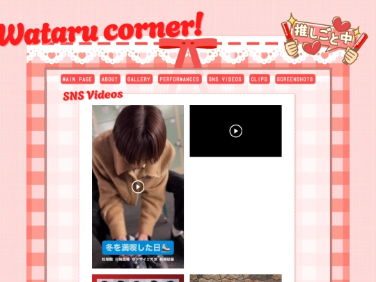 snsvideos screenshot
