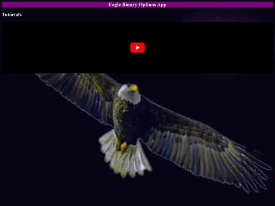 tt screenshot