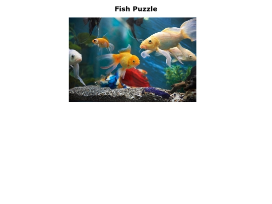 A_Flexible_Puzzle_Assignment screenshot