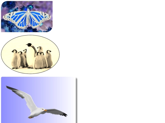 imitation screenshot