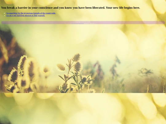 beginLife screenshot