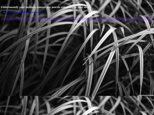 nosacrafice screenshot