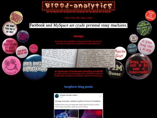 blog screenshot
