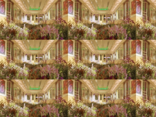 pginaweb screenshot