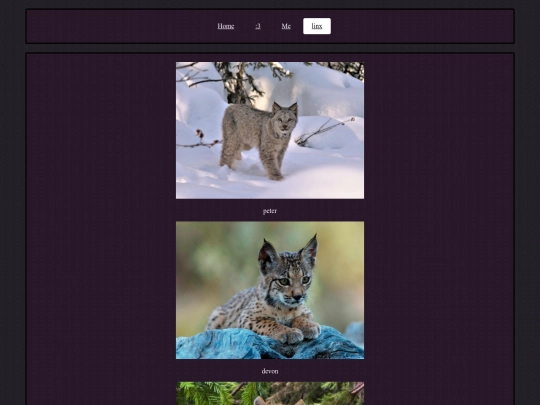linx screenshot