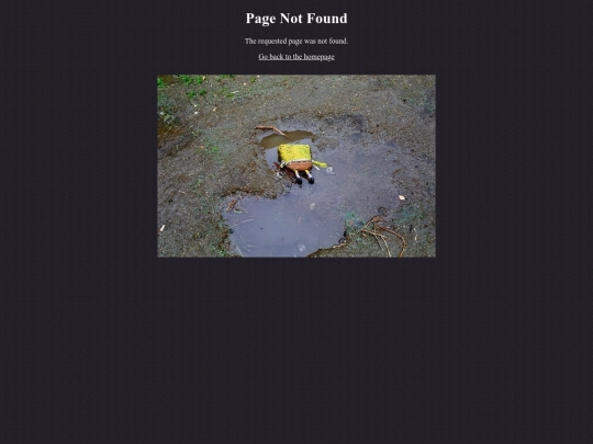 not_found screenshot