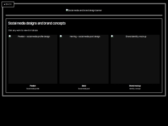 socialmediabranddesign screenshot