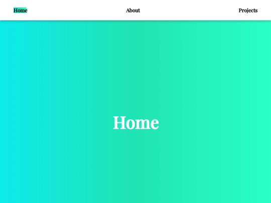 projects screenshot