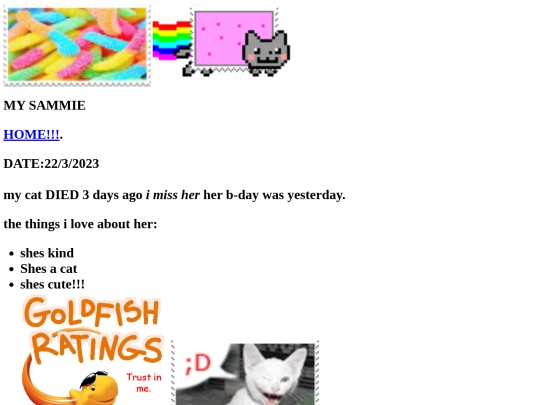 diary screenshot
