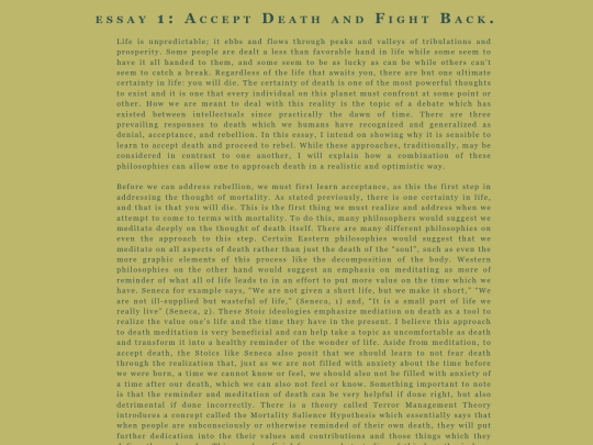 essays/a1 screenshot