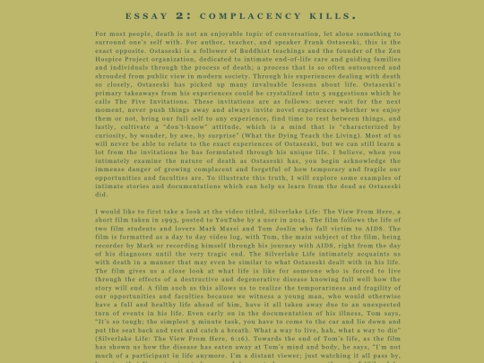 essays/a2 screenshot