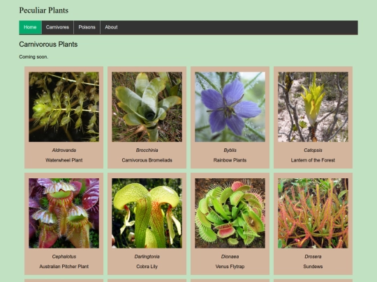 carnivorous-plants screenshot
